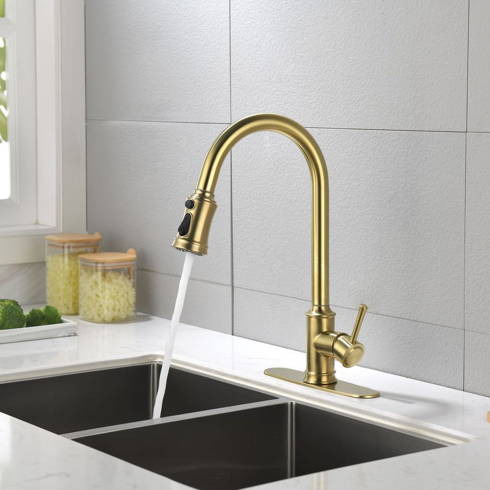 Single Handle High Arc Pull Out Kitchen Faucet,Single Level Stainless Steel Kitchen Sink Faucets with Pull Down Sprayer