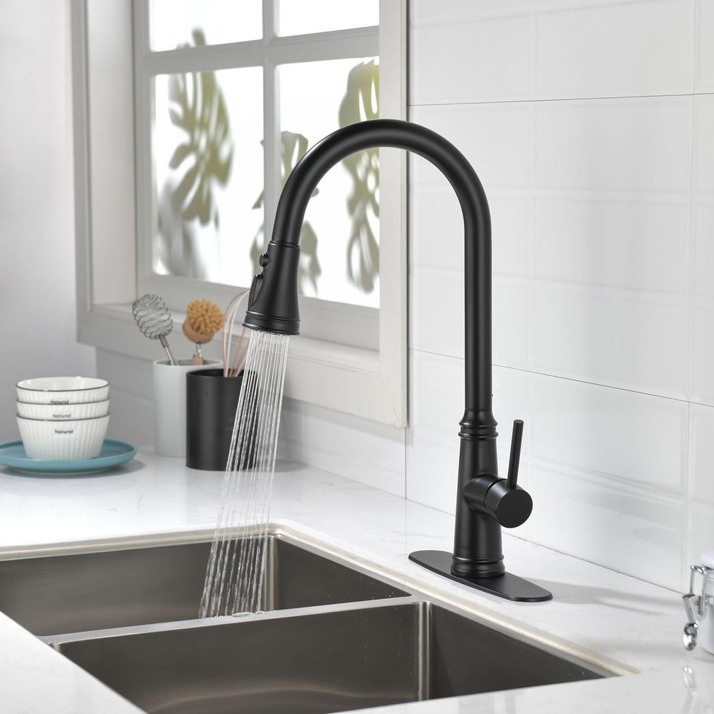 Single Handle High Arc Pull Out Kitchen Faucet,Single Level Stainless Steel Kitchen Sink Faucets with Pull Down Sprayer