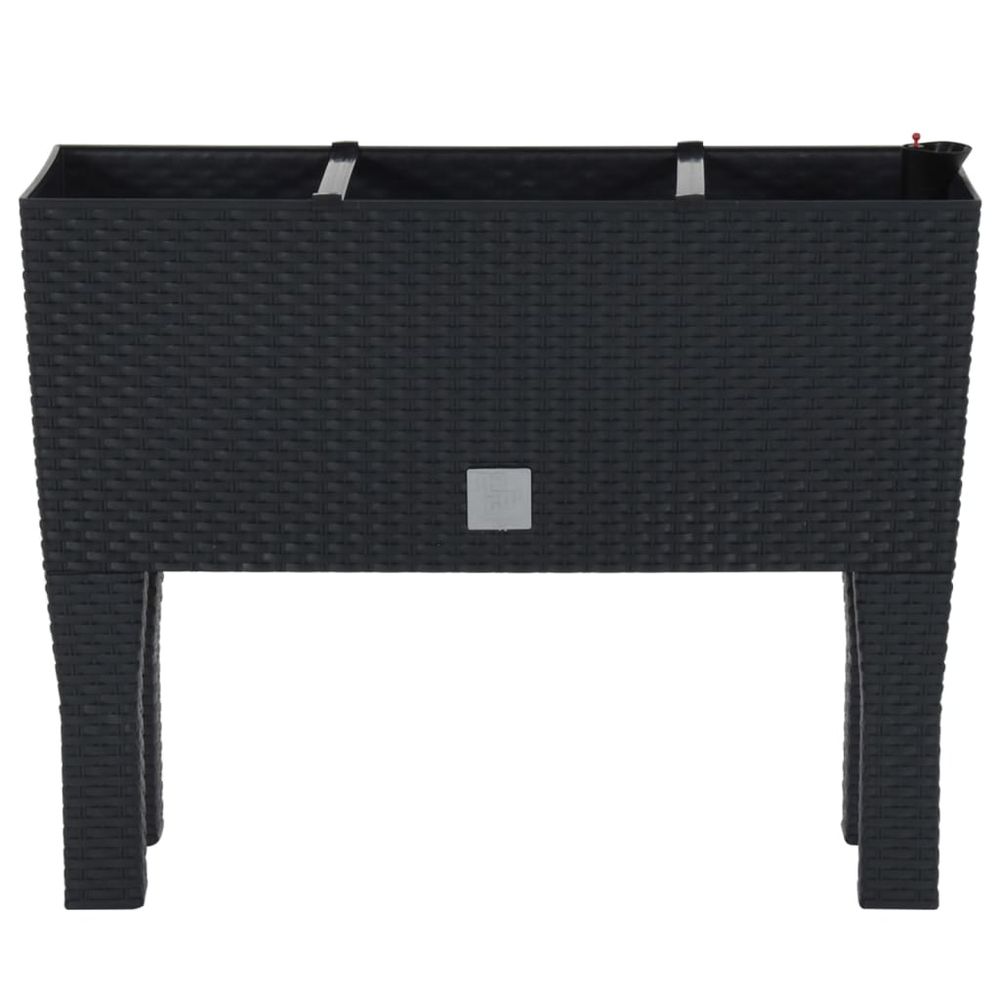 Raised Garden Bed Anthracite 60x25x46 cm PP Rattan