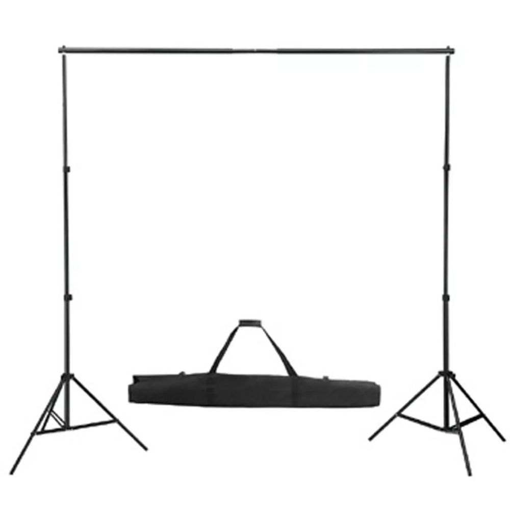 vidaXL Backdrop Support System 300 x 300 cm Green