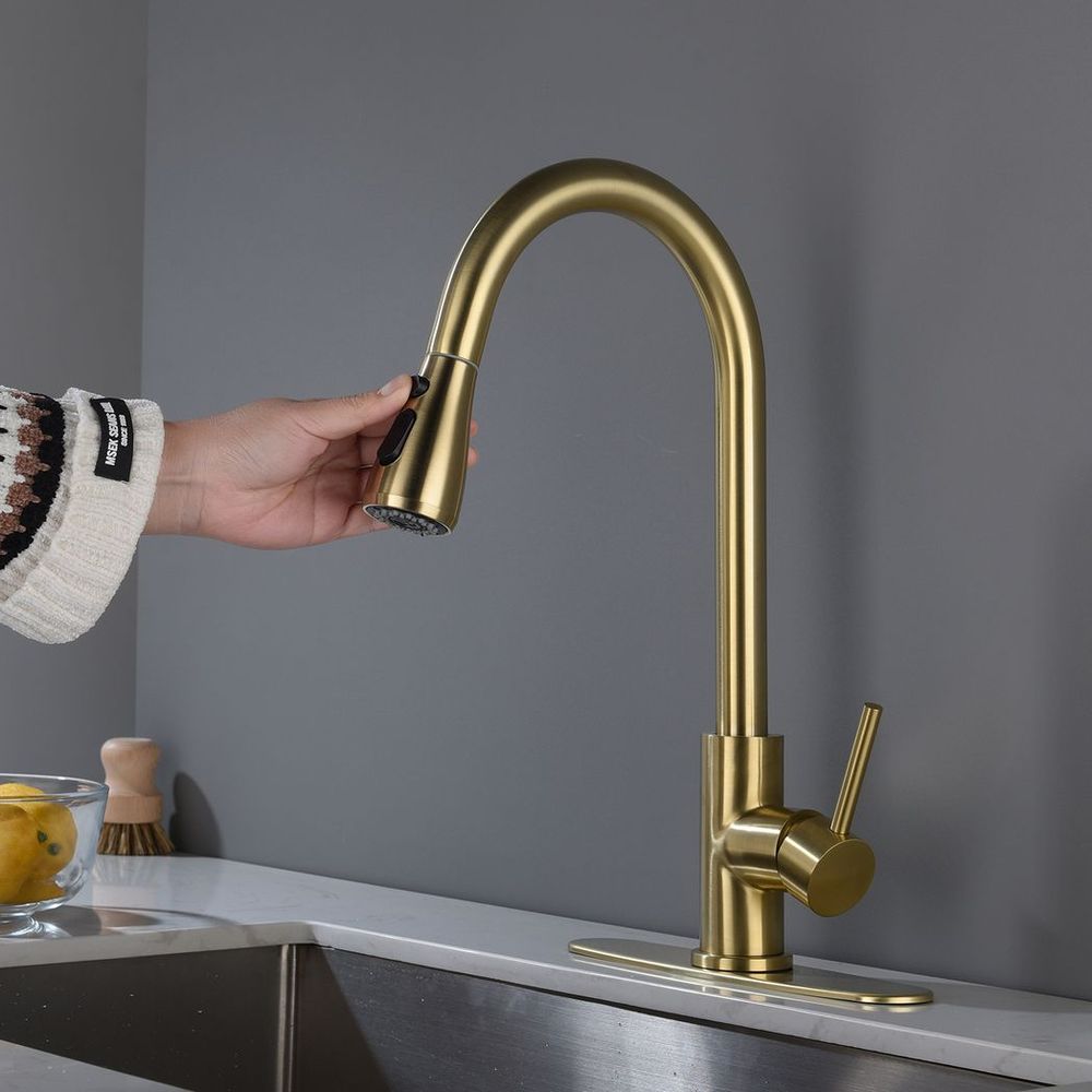 Kitchen Faucet with Pull Out Spraye