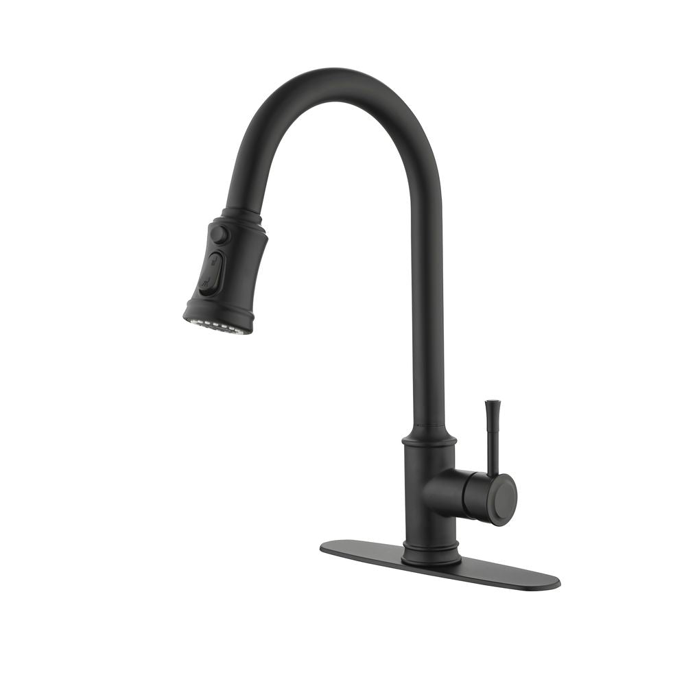 Single Handle High Arc Pull Out Kitchen Faucet,Single Level Stainless Steel Kitchen Sink Faucets with Pull Down Sprayer