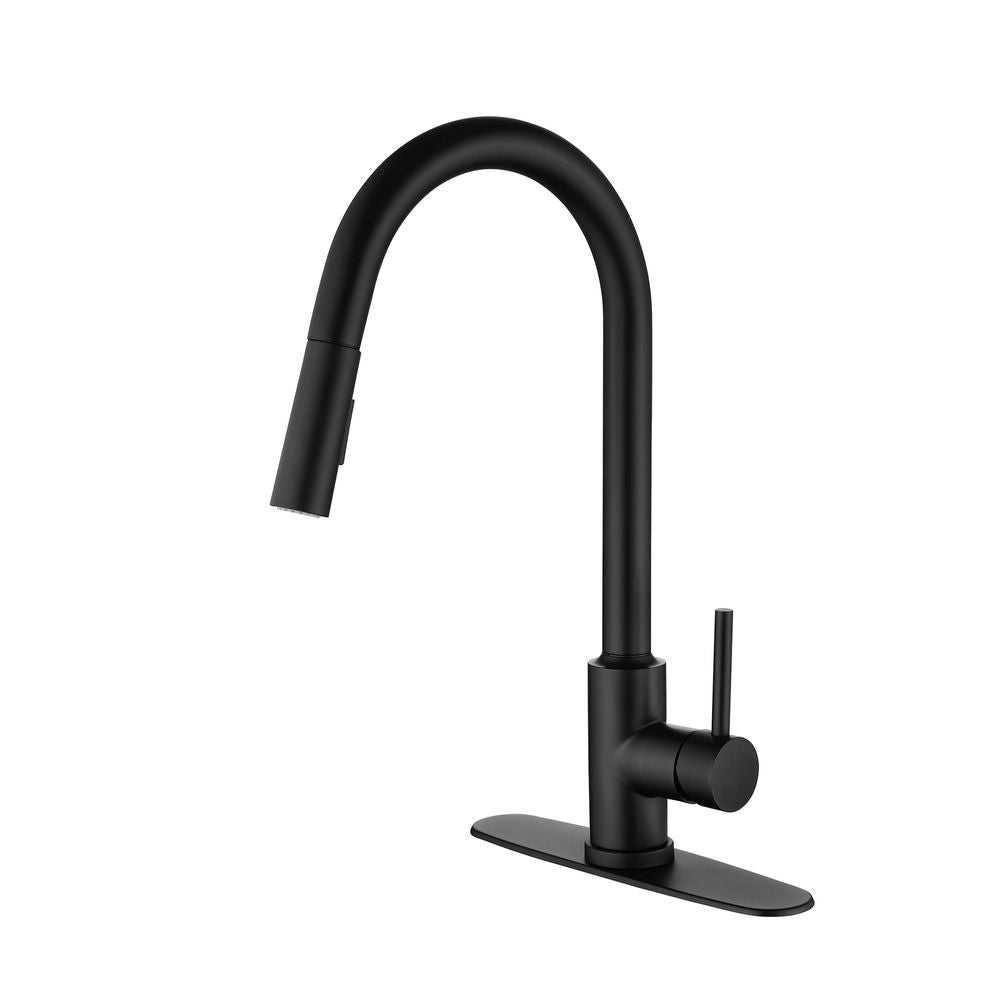 Single Handle High Arc Pull Out Kitchen Faucet,Single Level Stainless Steel Kitchen Sink Faucets with Pull Down Sprayer