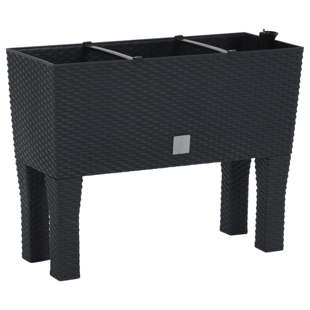 Raised Garden Bed Anthracite 60x25x46 cm PP Rattan