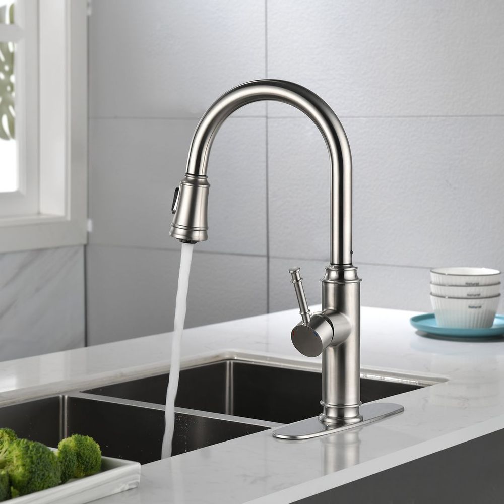 Single Handle High Arc Pull Out Kitchen Faucet,Single Level Stainless Steel Kitchen Sink Faucets with Pull Down Sprayer